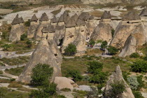 Turkey, Cappadocia, Goreme, Pasabag, Large selection of Fairy Chimneys bunched together.