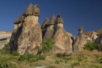 Turkey, Cappadocia, Goreme, Pasabag, A camel among the Fairy Chimneys, Pasabag means 'Pacha's vineyard'.