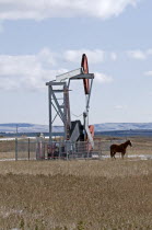 Canada, Alberta, Kananaskis Country, Nodding donkey oil derrick and Horse in field.