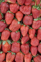 Thailand, Chiang Mai, Close up of locally grown fresh strawberries on sale in market.
