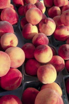 USA, New York, Rochester, Public Market, peaches in pint boxes.  