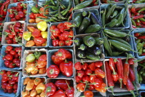 USA, New York, Rochester, Public Market, pints of different varieties of hot peppers, colors and shapes.