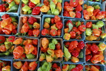 USA,  New York, Rochester, Public Market, pints of colorful hot peppers, red, orange, green and yellow.