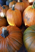 USA, New York, Cooperstown, Pumpkins for sale.