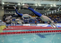 Sport, Watersport, Swimming, Mens relay, Swimmers diving in