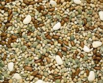 Food, Vegetables, Pulses, Selection of mixed dried beans.