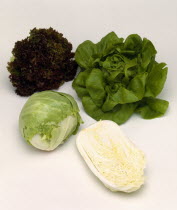 Food, Vegetables, Salad, Selection of four varieties of lettuce.