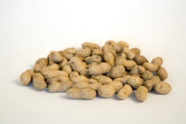 USA, Food, Nuts, Groundnuts Peanuts in their kernels on a white background.