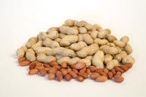 USA, Food, Nuts, Groundnuts Peanuts and kernels on a white background.