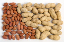 USA, Food, Nuts, Groundnuts Peanuts and kernels on a white background.