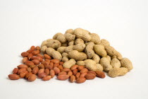 USA, Food, Nuts, Groundnuts Peanuts and kernels on a white background.