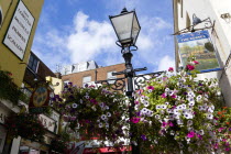 England, East Sussex, Brighton, The Lanes Old fashioned streetlight lamppost between English's Oyster bar and Seafood Restaurant and The Sussex Pub with flowers in window boxes and hanging baskets.