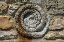 Ammonite in Wall, Lyme Regis, Dorset, England.