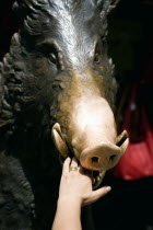 ITALY, Tuscany, Florence, The 17th century bronze fountain called Il Porcellino in the Mercato Nuovo also known as the Straw Market where the snout of the wild boar shines where people rub it under th...