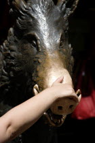 ITALY, Tuscany, Florence, The 17th century bronze fountain called Il Porcellino in the Mercato Nuovo also known as the Straw Market where the snout of the wild boar shines where people rub it under th...