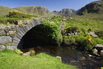 IRELAND, County Donegal, The Poisoned Glen, A stream runs under an old style stone bridge with the Derryveagh Mountain behind. 