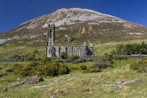 IRELAND, County Donegal, Gweedore Mount Errigal, Viewed from the Poisoned Glen with old ruined church in the foreground.