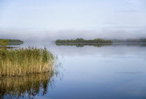 IRELAND, County Cavan, Lough MacNean, Islands in the lough on an autumn morning. 