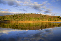 IRELAND, County Monaghan, Castle Blayney, Autumn colours at Lough Muckno. 