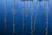 IRELAND, County Dublin, Howth Harbour, Reflection of yachts in the water.