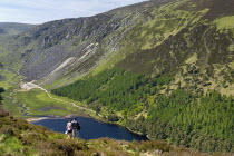 IRELAND, County Wicklow, Glendalough, A couple enjoy the view over the Upper Lake from the Spink Trail. 