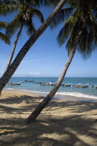 VENEZUELA, Margarita Island, Playa la Galera, View of exotic beach with palm trees and their shades on the sand, just in front of fishing boats floating at the tropical crystal clear seawaters, shoot...