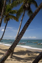VENEZUELA, Margarita Island, Playa la Galera, View of exotic beach with palm trees and their shades on the sand, just in front of fishing boats floating at the tropical crystal clear seawaters, shot o...