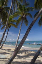 VENEZUELA, Margarita Island, Playa la Galera, View of exotic beach with palm trees and their shades on the sand, just in front of fishing boats floating at the tropical crystal clear seawaters, shot o...