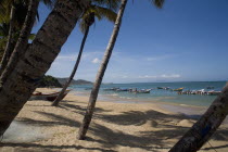 VENEZUELA, Margarita Island, Playa la Galera, View of exotic beach with palm trees and their shades on the sand, just in front of fishing boats floating at the tropical crystal clear seawaters, shot o...