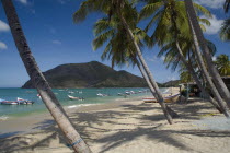 VENEZUELA, Margarita Island, Playa la Galera, View of exotic beach with palm trees and their shades on the sand, just in front of fishing boats floating at the tropical crystal clear seawaters, shot o...