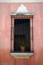 VENEZUELA, Bolivar State, Ciudad Bolivar, open window with a plant in a pot behind the black iron bars surrounded by an old pink wall.