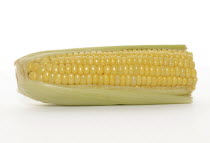 FOOD, Vegetables, Sweetcorn, Corn on the cob.