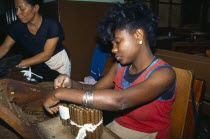 CUBA, Havana, Women working in cigar factory. 
