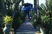 Morocco, Marrakesh, Jardin Majorelle known as the residence of Yves Saint-Laurent, view along plant lined path to the house.