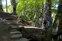 Scotland, Black Isle, Munlochy, Clootie Well, Clothing hanging from trees as part of an ancient pre Christian tradition. Pilgrims a make offerings to the  spring or well in the hope to have an illness...