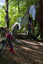 Scotland, Black Isle, Munlochy, Clootie Well, Clothing hanging from trees as part of an ancient pre Christian tradition. Pilgrims a make offerings to the  spring or well in the hope to have an illness...