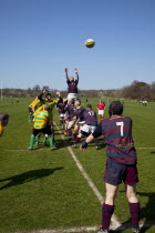 England, West Sussex, Shoreham-by-Sea, Rugby Teams playing on Victoria Park playing fields. Ball thrown in from a Line Out.