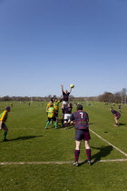 England, West Sussex, Shoreham-by-Sea, Rugby Teams playing on Victoria Park playing fields. Ball being thrown in from a line out.