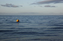 England, West Sussex, Goring-by-Sea, Worthing Triathlon 2009, yellow buoys marking our swim course.