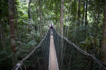 Malaysia, Central Pahang, Taman Negara, People wandering on the canopy walkways of the worlds oldest rainforest.