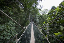 Malaysia, Central Pahang, Taman Negara, People wandering on the canopy walkways of the worlds oldest rainforest.