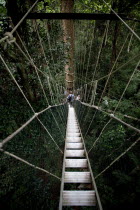 Malaysia, Central Pahang, Taman Negara, People wandering on the canopy walkways of the worlds oldest rainforest.