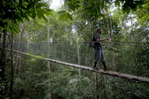 Malaysia, Central Pahang, Taman, Negara, Man wandering on the canopy walkways of the worlds oldest rainforest.