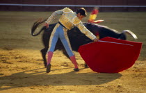 Spain, Andalucia, Seville, matador holding sword behind raised cape in passing move with charging bull in the bullring at a bullfight in Arenal District.