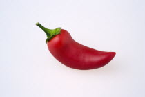 Food, Vegatables, Chillies, One hot red chilli pepper on a white background.