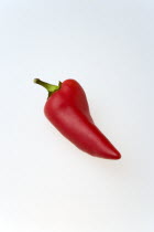 Food, Vegetables, Chillies, One hot red chilli pepper on a white background.