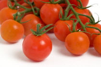 Food, Fruit, Tomato, Ripe red cherry tomatoes on the vine against a white background.