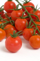 Food, Fruit, Tomato, Ripe red cherry tomatoes on the vine against a white background.