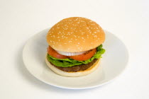 Food, Cooked, Hamburger, Single quarter pound burger with onion tomato and lettuce in a bun on a plate on a white background.