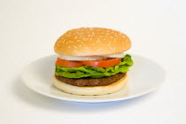 Food, Cooked, Hamburger, Single quarter pound burger with onion tomato and lettuce in a bun on a plate on a white background.